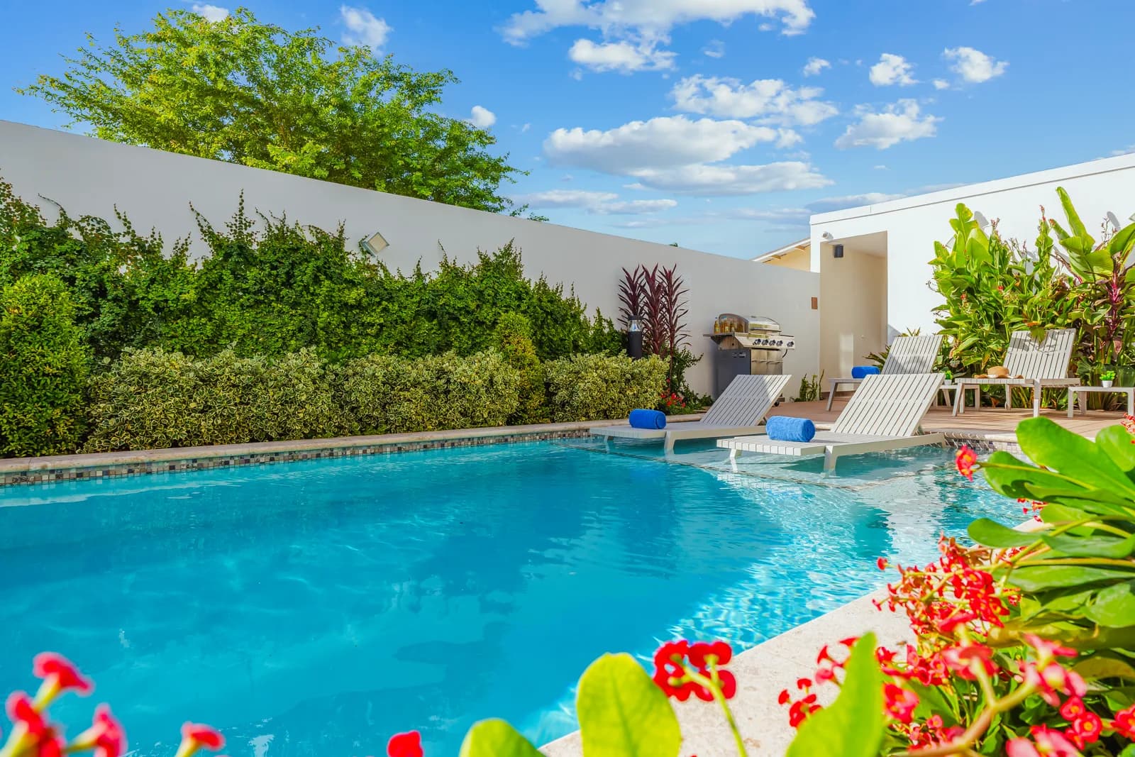 Sunlit pool with loungers and tropical garden