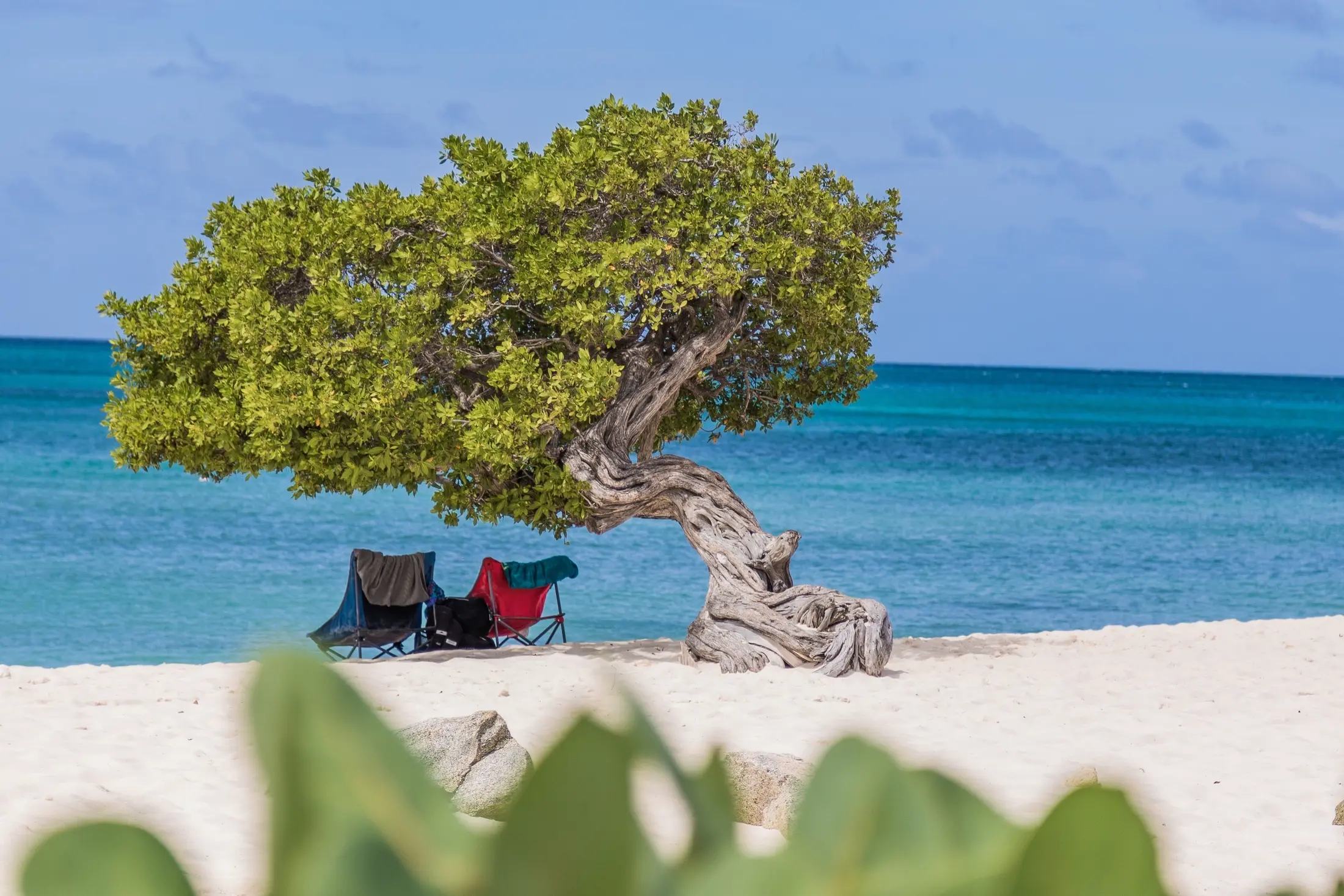 aruba-highlights-0086